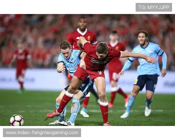 墨尔本城主场对阵纽喷气机，主场龙属性有望延续